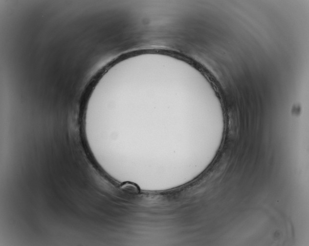 X0000102371452200808291237