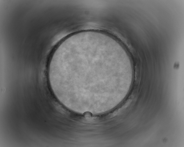 X0000102371453200808291237