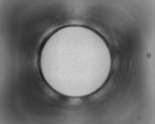 X0000102371454200808291237