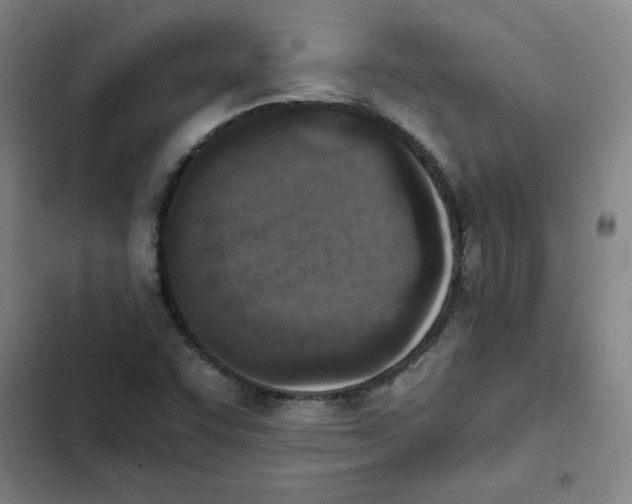 X0000102371455200808291237