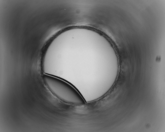 X0000102371456200808291237