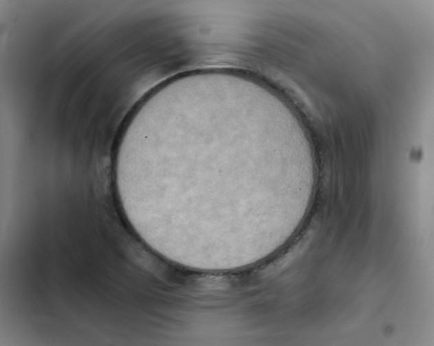 X0000102371457200808291237