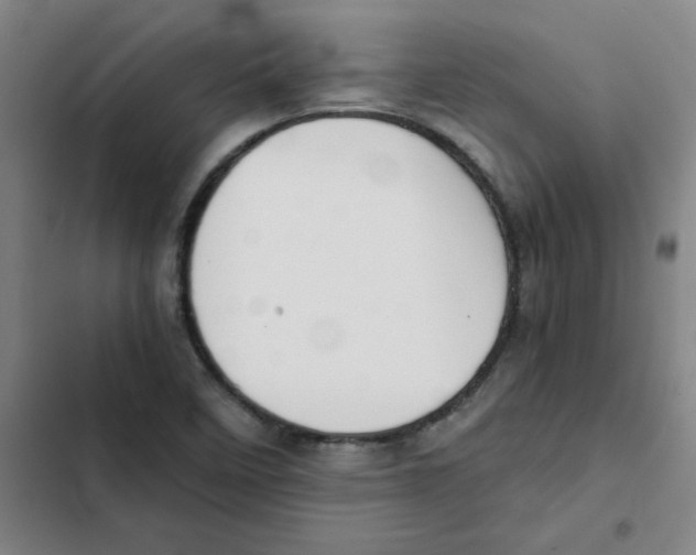 X0000102371458200808291237