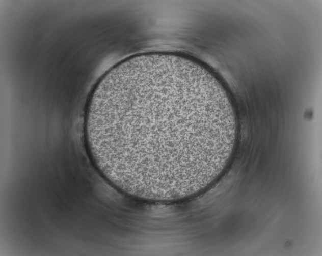 X0000102371459200808291237