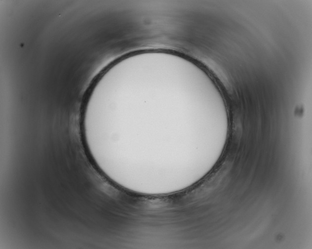 X0000102371460200808291237