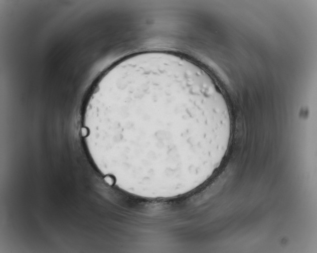 X0000102371461200808291237