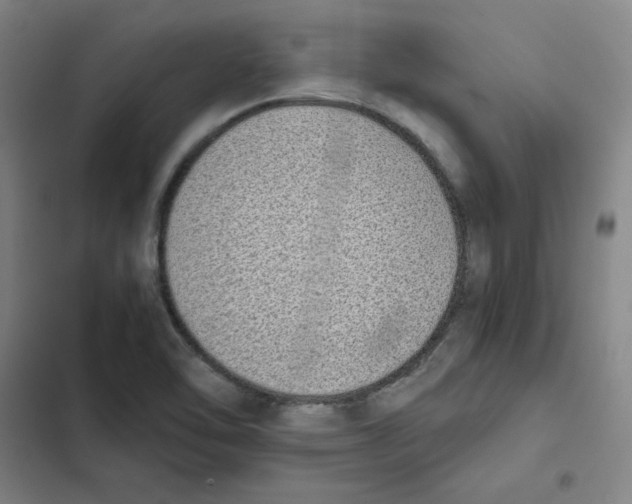 X0000102371462200808291237