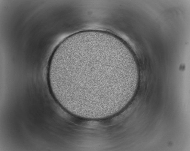 X0000102371463200808291237