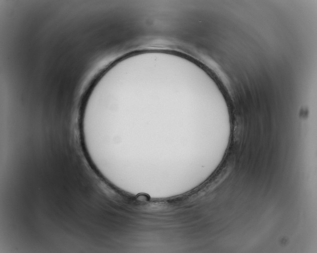 X0000102371464200808291237