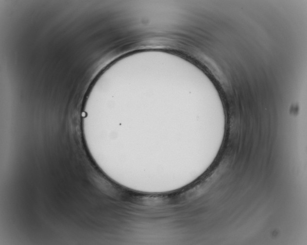 X0000102371465200808291237