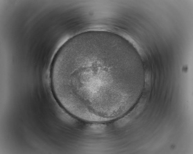 X0000102371466200808291237