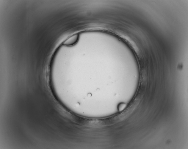 X0000102371467200808291237