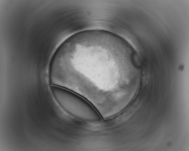 X0000102371468200808291237