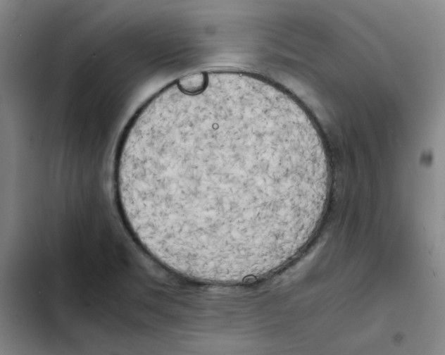 X0000102371469200808291237