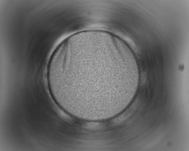 X0000102371470200808291237