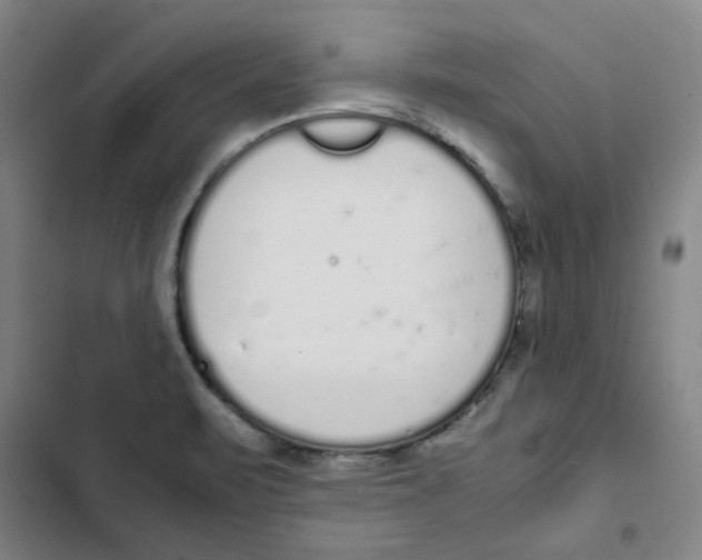 X0000102371471200808291237