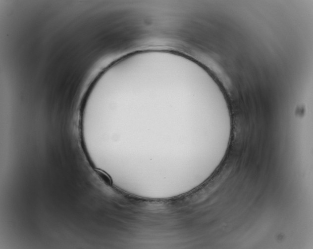 X0000102371472200808291237