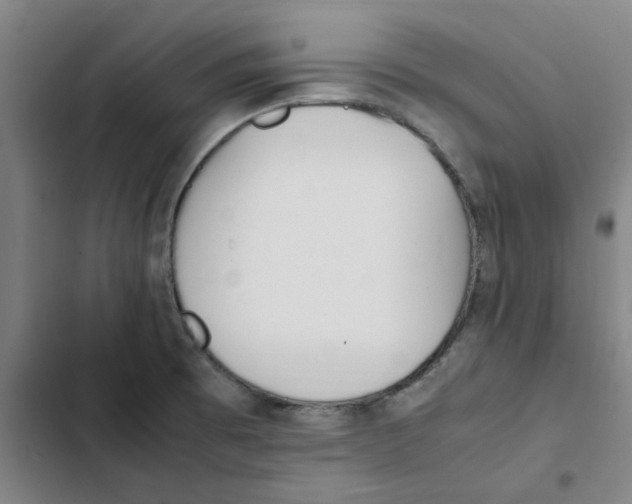 X0000102371473200808291237