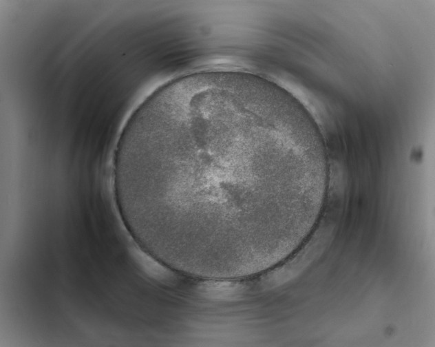 X0000102371474200808291237