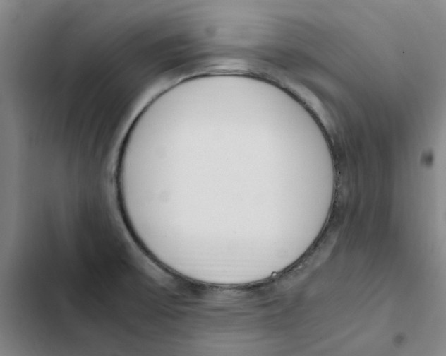 X0000102371475200808291237