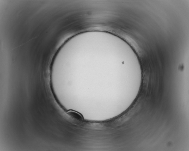 X0000102371476200808291237