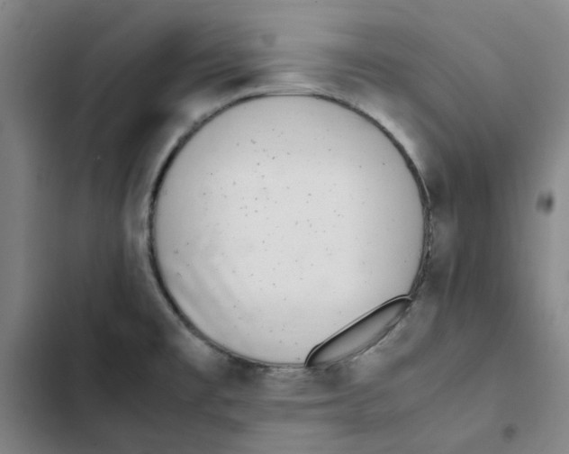 X0000102371477200808291237