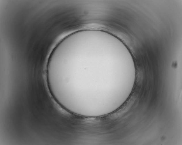 X0000102371478200808291237