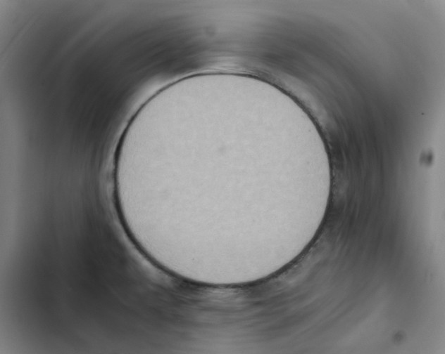 X0000102371479200808291237