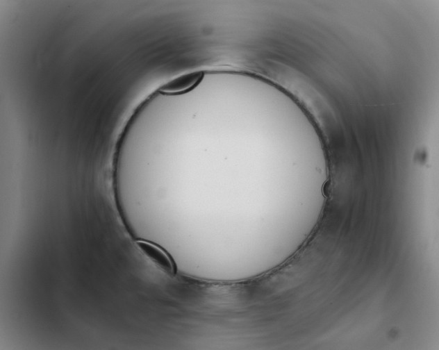 X0000102371480200808291237