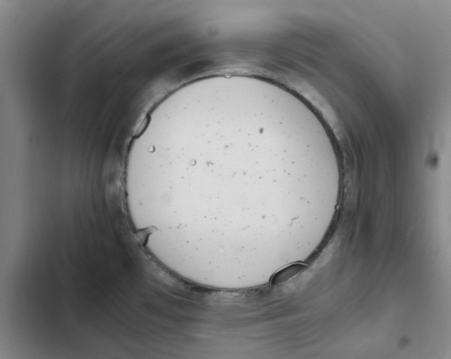 X0000102371481200808291237