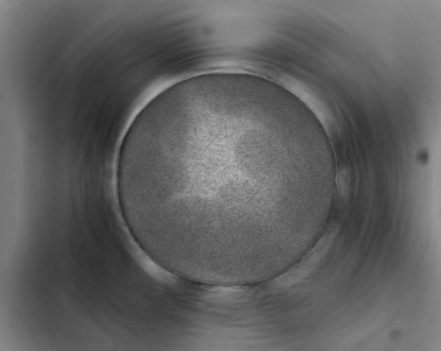 X0000102371482200808291237