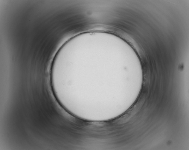 X0000102371483200808291237