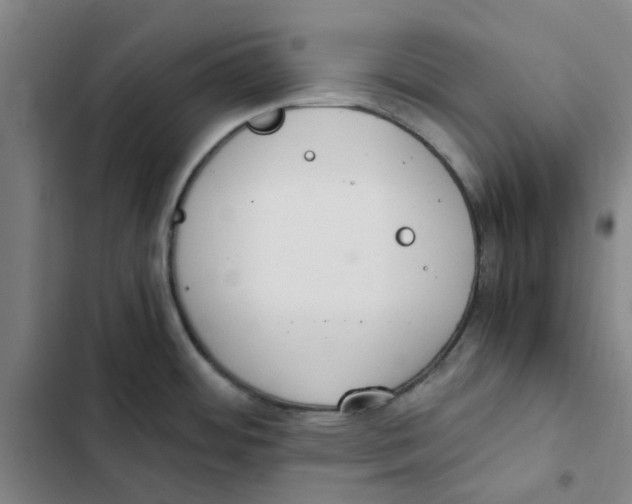 X0000102371484200808291237