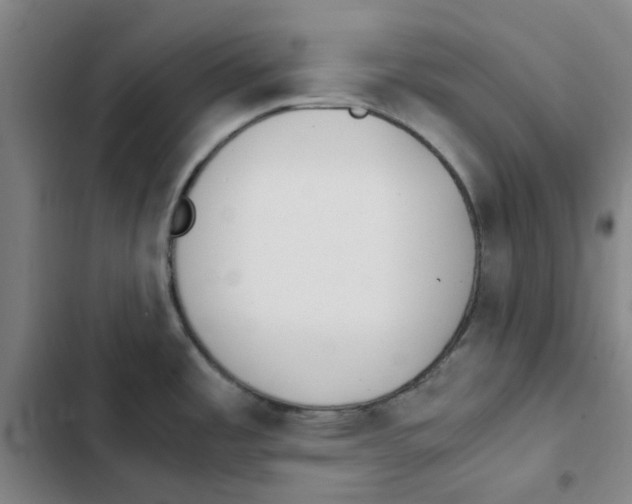 X0000102371485200808291237