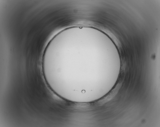 X0000102371486200808291237