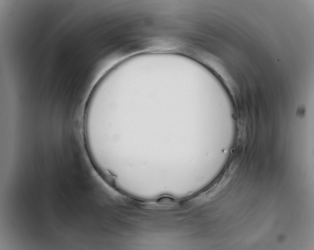 X0000102371487200808291237