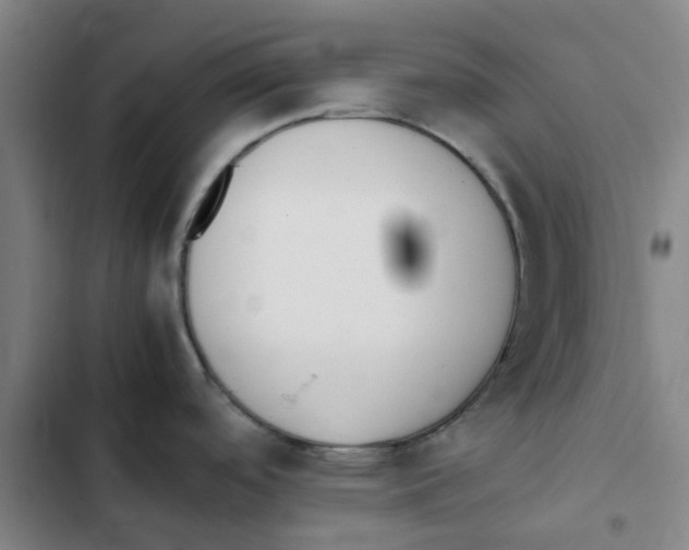 X0000102371488200808291237