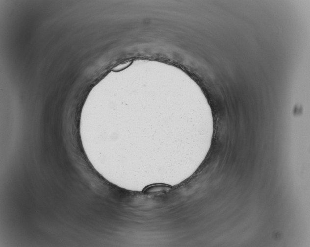 X0000102371489200808291236