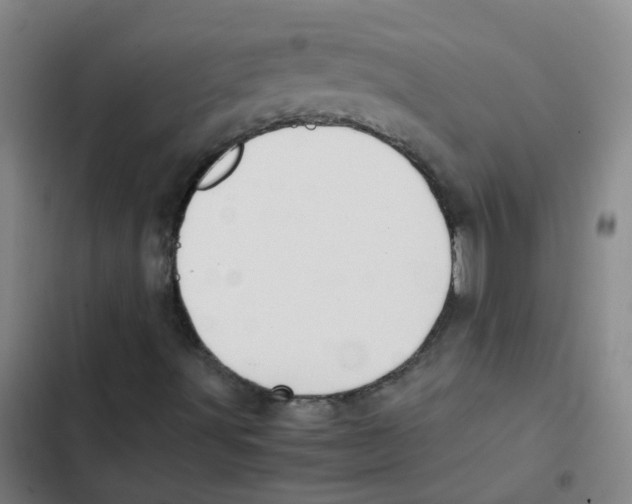 X0000102371491200808291236