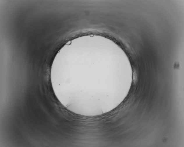 X0000102371492200808291236