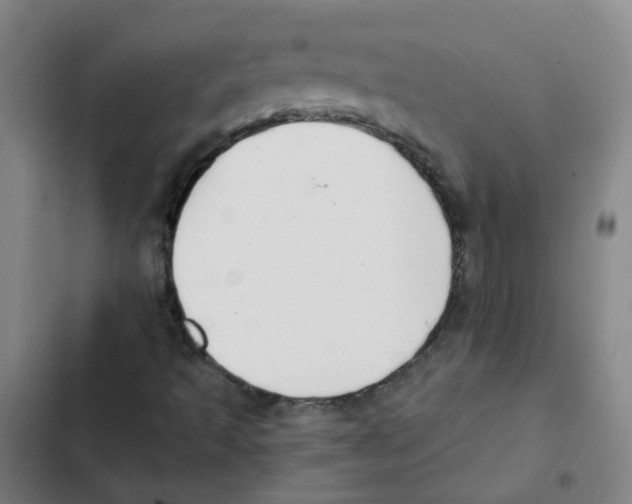 X0000102371493200808291236