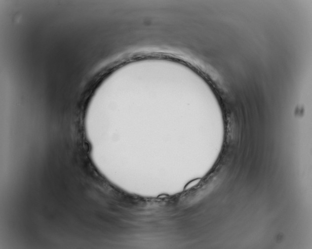 X0000102371494200808291236