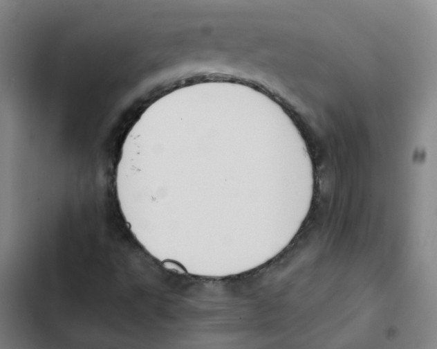 X0000102371495200808291236