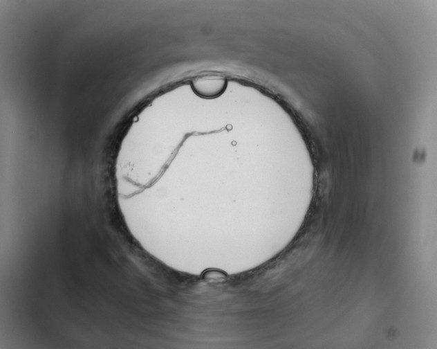 X0000102371496200808291236