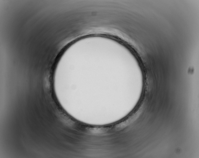 X0000102371497200808291236