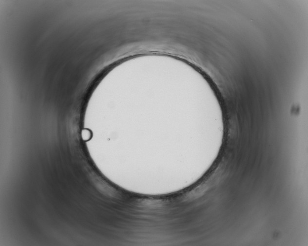 X0000102371499200808291236