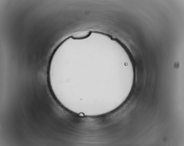 X0000102371500200808291236