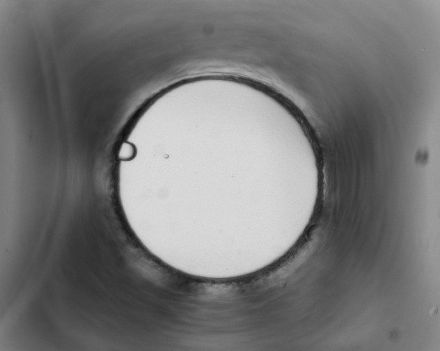 X0000102371501200808291236