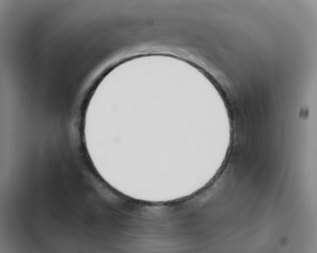 X0000102371502200808291236