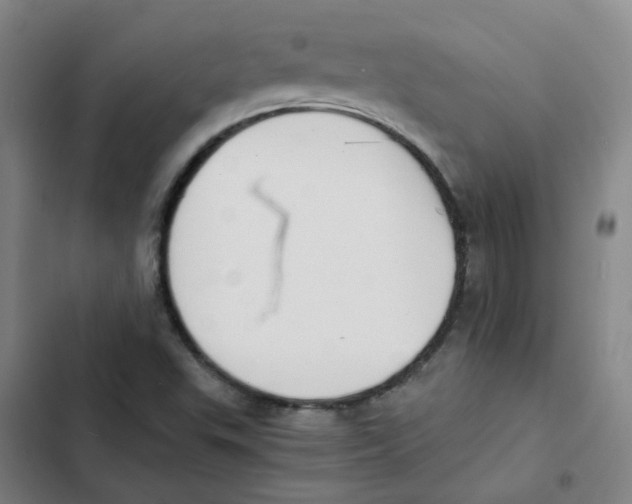 X0000102371503200808291236